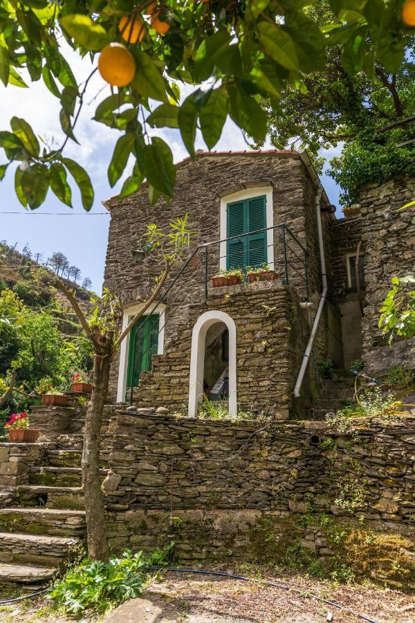 Villa Smith Vernazza Zewnętrze zdjęcie